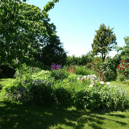 Bed & Breakfast Aeblehaven Toftebjerg